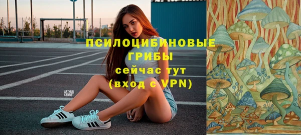 трава Абаза