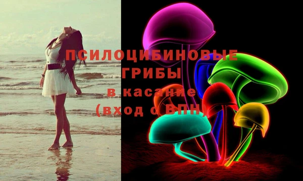 стаф Алзамай